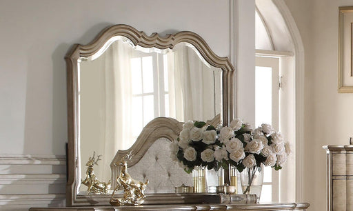 Acme Chelmsford Landscape Mirror in Antique Taupe 26054 - Marjories Furniture (Las Vegas, NV)