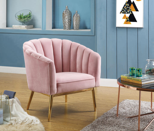 Colla Blush Pink Velvet & Gold Accent Chair - Marjories Furniture (Las Vegas, NV)