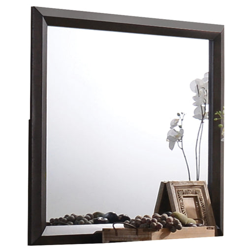 Merveille Espresso Mirror - Marjories Furniture (Las Vegas, NV)
