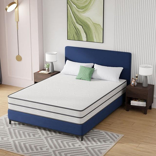Catmint 10" Queen Innerspring Mattress - Marjories Furniture (Las Vegas, NV)