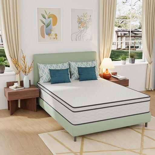 Catmint 12" Queen Innerspring Mattress - Marjories Furniture (Las Vegas, NV)