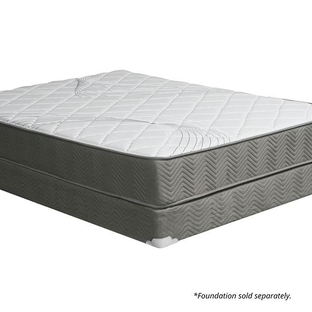EDREA White/Gray 10" Tight Top Pocket Coil, Queen - Marjories Furniture (Las Vegas, NV)
