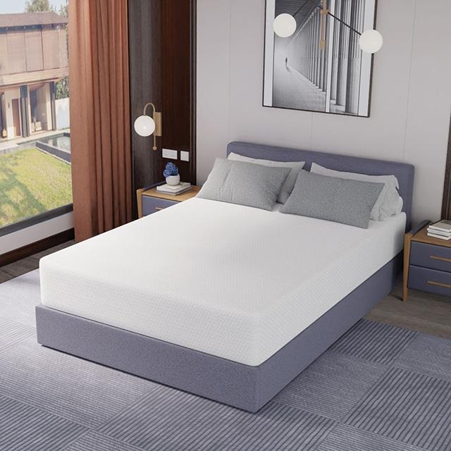 Forsythia 12" Queen Green Tea Gel Memory Foam - Marjories Furniture (Las Vegas, NV)
