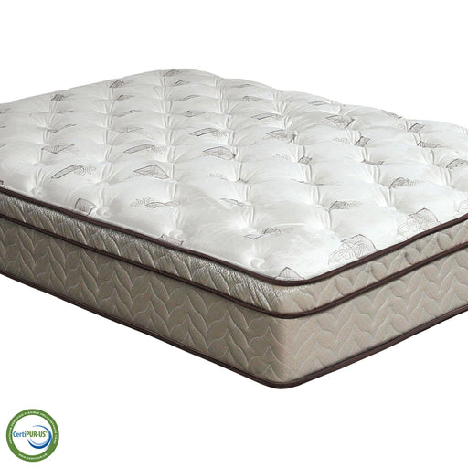 Lilium White/Brown 13" Euro Pillow Top, Queen - Marjories Furniture (Las Vegas, NV)