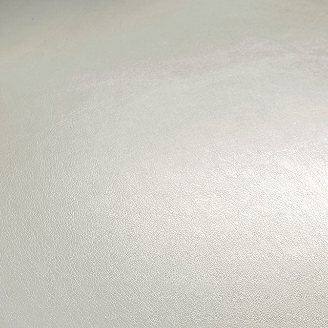 Shirley Bar Stool (2/Box) - Marjories Furniture (Las Vegas, NV)