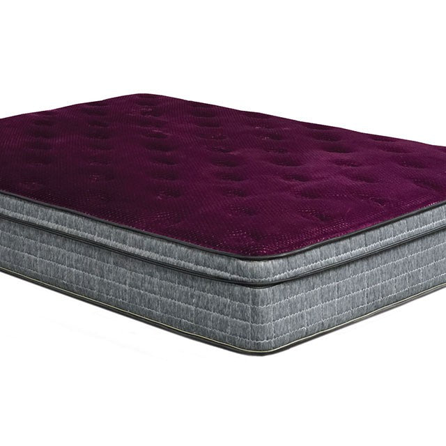 Minnetonka 13" Euro Pillow Top Mattress - Marjories Furniture (Las Vegas, NV)