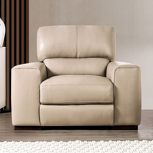 Marsicano Recliner - Marjories Furniture (Las Vegas, NV)