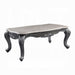 Ariadne Coffee Table - Marjories Furniture (Las Vegas, NV)