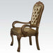 Acme Dresden Arm Chair in Gold Patina (Set of 2) 63154 - Marjories Furniture (Las Vegas, NV)