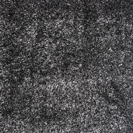 Annmarie Black 5' X 8' Area Rug - Marjories Furniture (Las Vegas, NV)
