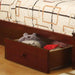 Coney Island Bunk Bed Chrome - Marjories Furniture (Las Vegas, NV)