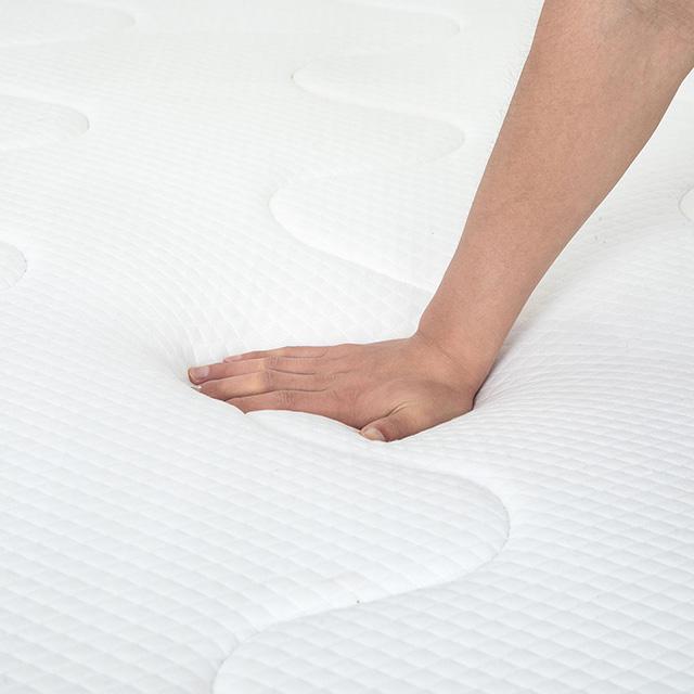 Catmint Mattress - Marjories Furniture (Las Vegas, NV)