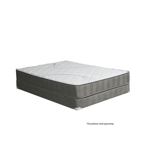 EDREA White/Gray 10" Tight Top Pocket Coil, Full - Marjories Furniture (Las Vegas, NV)