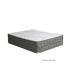 EDREA White/Gray 10" Tight Top Pocket Coil, Full - Marjories Furniture (Las Vegas, NV)