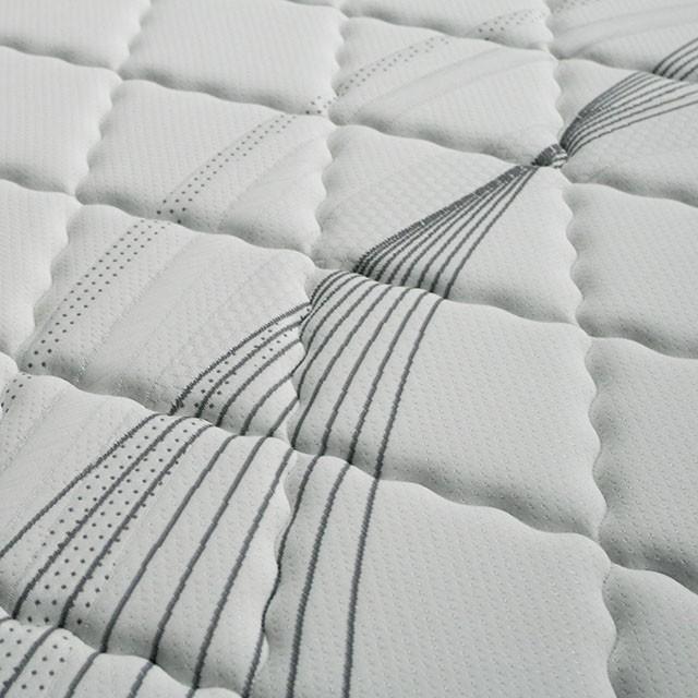 EDREA White/Gray 10" Tight Top Pocket Coil, Queen - Marjories Furniture (Las Vegas, NV)