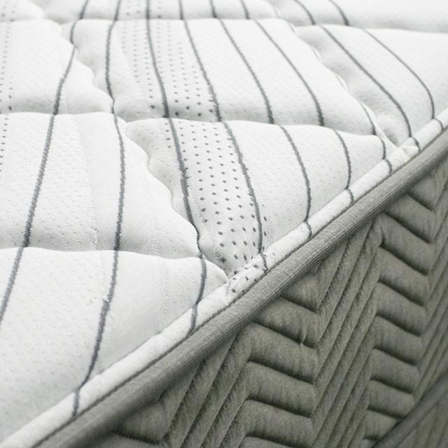 EDREA White/Gray 10" Tight Top Pocket Coil, Full - Marjories Furniture (Las Vegas, NV)