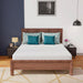 Coreopsis 8" Queen Memory Foam Wave Comfort - Marjories Furniture (Las Vegas, NV)