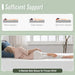 Coreopsis 8" Queen Memory Foam Wave Comfort - Marjories Furniture (Las Vegas, NV)