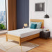 Coreopsis 8" Twin Memory Foam Wave Comfort - Marjories Furniture (Las Vegas, NV)