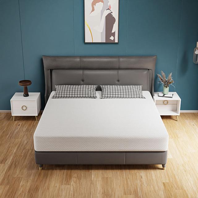 Forsythia 10" Queen Green Tea Gel Memory Foam - Marjories Furniture (Las Vegas, NV)