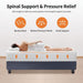 Forsythia 12" E.King Green Tea Gel Memory Foam - Marjories Furniture (Las Vegas, NV)