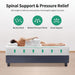 Forsythia 12" Queen Green Tea Gel Memory Foam - Marjories Furniture (Las Vegas, NV)