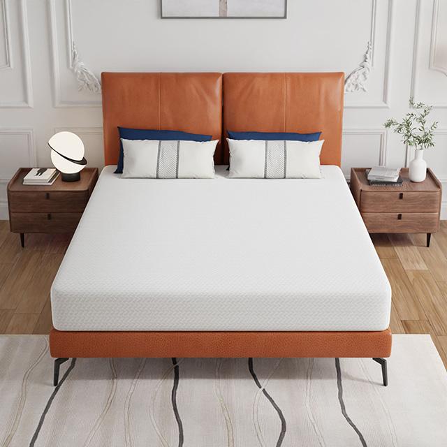 Forsythia 8" Queen Green Tea Gel Memory Foam - Marjories Furniture (Las Vegas, NV)