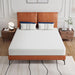 Forsythia 8" Queen Green Tea Gel Memory Foam - Marjories Furniture (Las Vegas, NV)