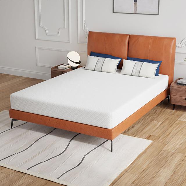 Forsythia 8" Queen Green Tea Gel Memory Foam - Marjories Furniture (Las Vegas, NV)