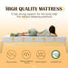 Forsythia 8" Twin Green Tea Gel Memory Foam - Marjories Furniture (Las Vegas, NV)