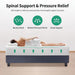 Forsythia Mattress - Marjories Furniture (Las Vegas, NV)