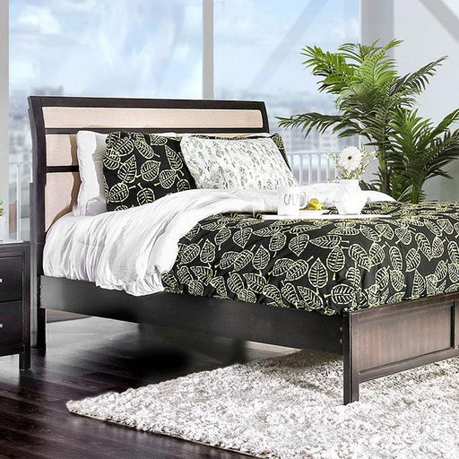 Berenice Bed Purple Brown - Marjories Furniture (Las Vegas, NV)