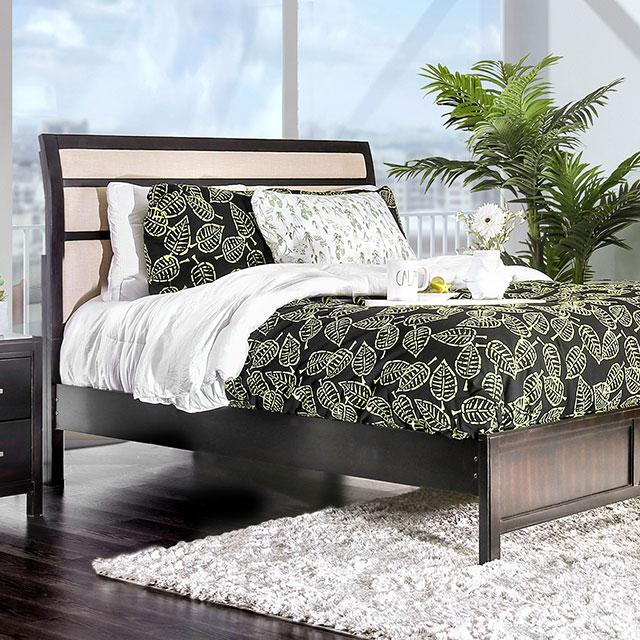 Berenice Bed Purple Brown - Marjories Furniture (Las Vegas, NV)