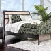 Berenice Bed Purple Brown - Marjories Furniture (Las Vegas, NV)