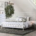 IRIA Vintage White Cal.King, E.King, & Full Bed - Marjories Furniture (Las Vegas, NV)