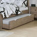 VEVEY Trundle/Drawer - Marjories Furniture (Las Vegas, NV)