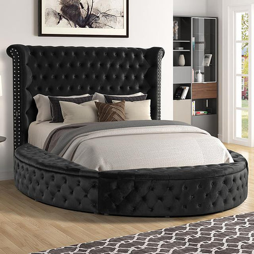 SANSOM E.King & Queen Bed, Black, Blue, & Grey - Marjories Furniture (Las Vegas, NV)