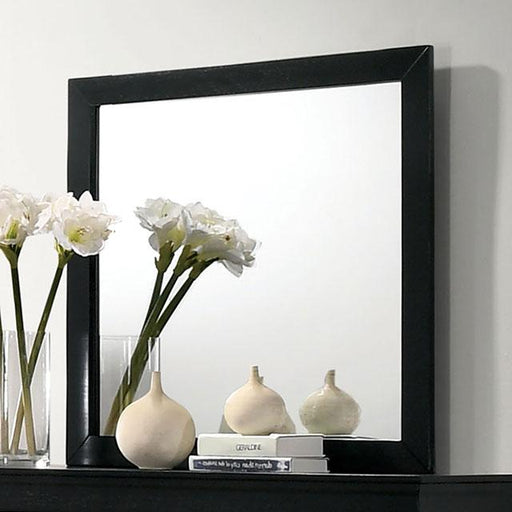 Louis Philippe Mirror - Marjories Furniture (Las Vegas, NV)