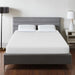 Artemisia 10" E.King, Full, Twin, & Queen Memory Foam Mattress - Marjories Furniture (Las Vegas, NV)