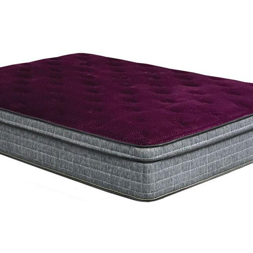 Purple/Grey 13" Euro Pillow Top Mattress Non-Flip, Full - Marjories Furniture (Las Vegas, NV)