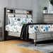 DAPHNE Gray Cal.King, E.King & Queen Bed - Marjories Furniture (Las Vegas, NV)