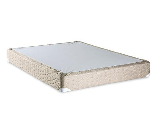 Lilium White/Brown Foundation, Queen - Marjories Furniture (Las Vegas, NV)