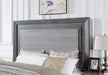RAIDEN Cal.King, E.King, & Queen Bed, Gray - Marjories Furniture (Las Vegas, NV)