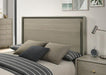 Rainier Queen Bedroom Set Gray - Marjories Furniture (Las Vegas, NV)