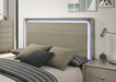 Rainier Queen Bedroom Set Gray - Marjories Furniture (Las Vegas, NV)