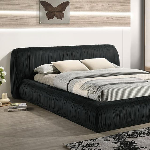 Palmdale Bed Black & Ivory - Marjories Furniture (Las Vegas, NV)