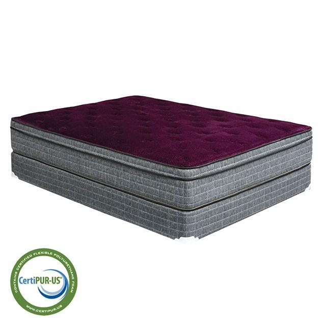 Purple/Grey 13" Euro Pillow Top Mattress Non-Flip, Full - Marjories Furniture (Las Vegas, NV)