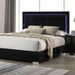 Sinistra Bed Beige, Black, White - Marjories Furniture (Las Vegas, NV)