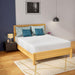 Coreopsis Mattress - Marjories Furniture (Las Vegas, NV)