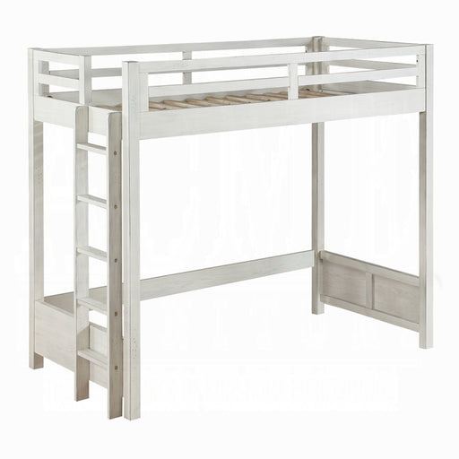 Celerina Twin Loft Bed - Marjories Furniture (Las Vegas, NV)